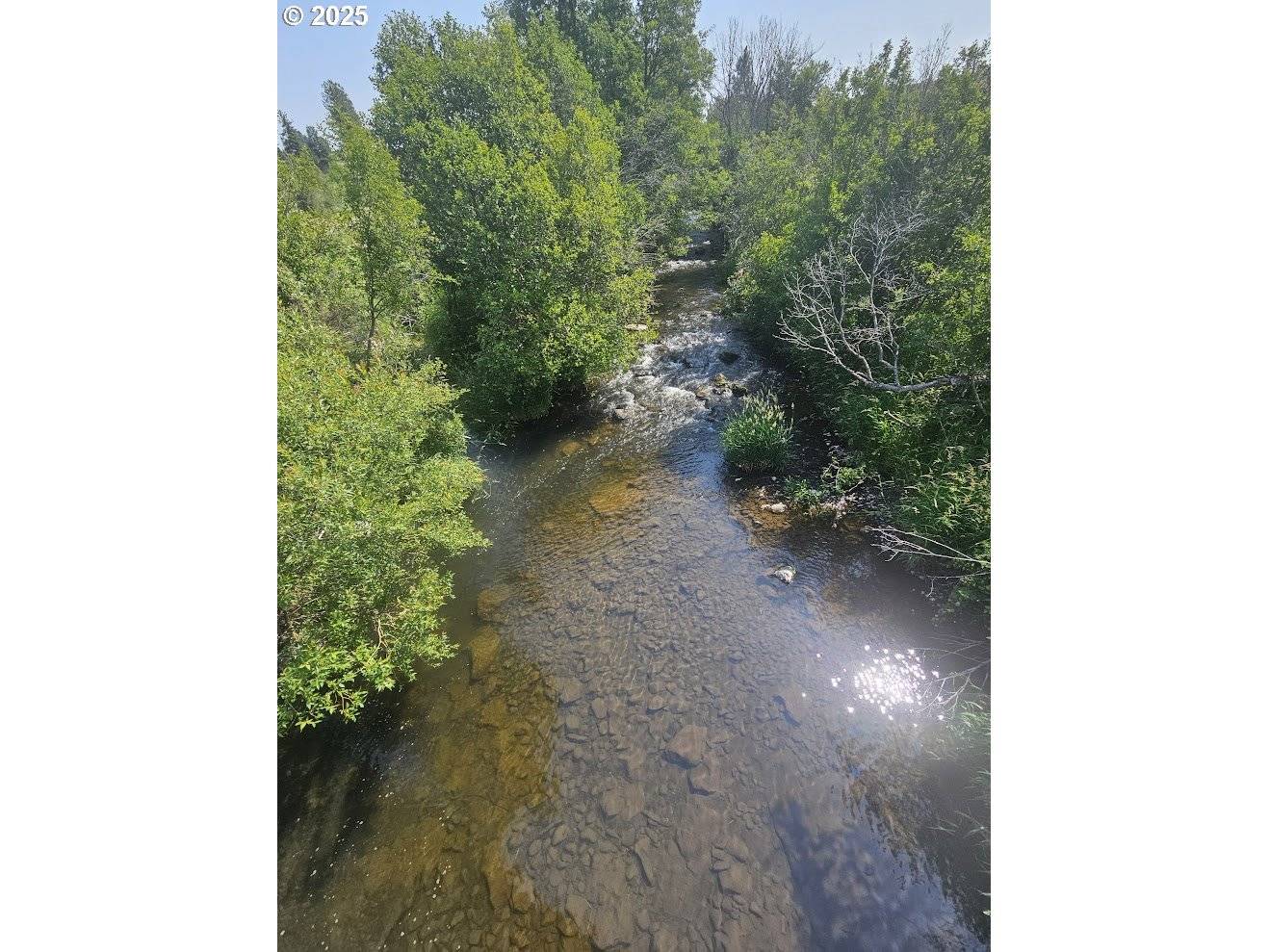 Centerville, WA 98613,Olson RD