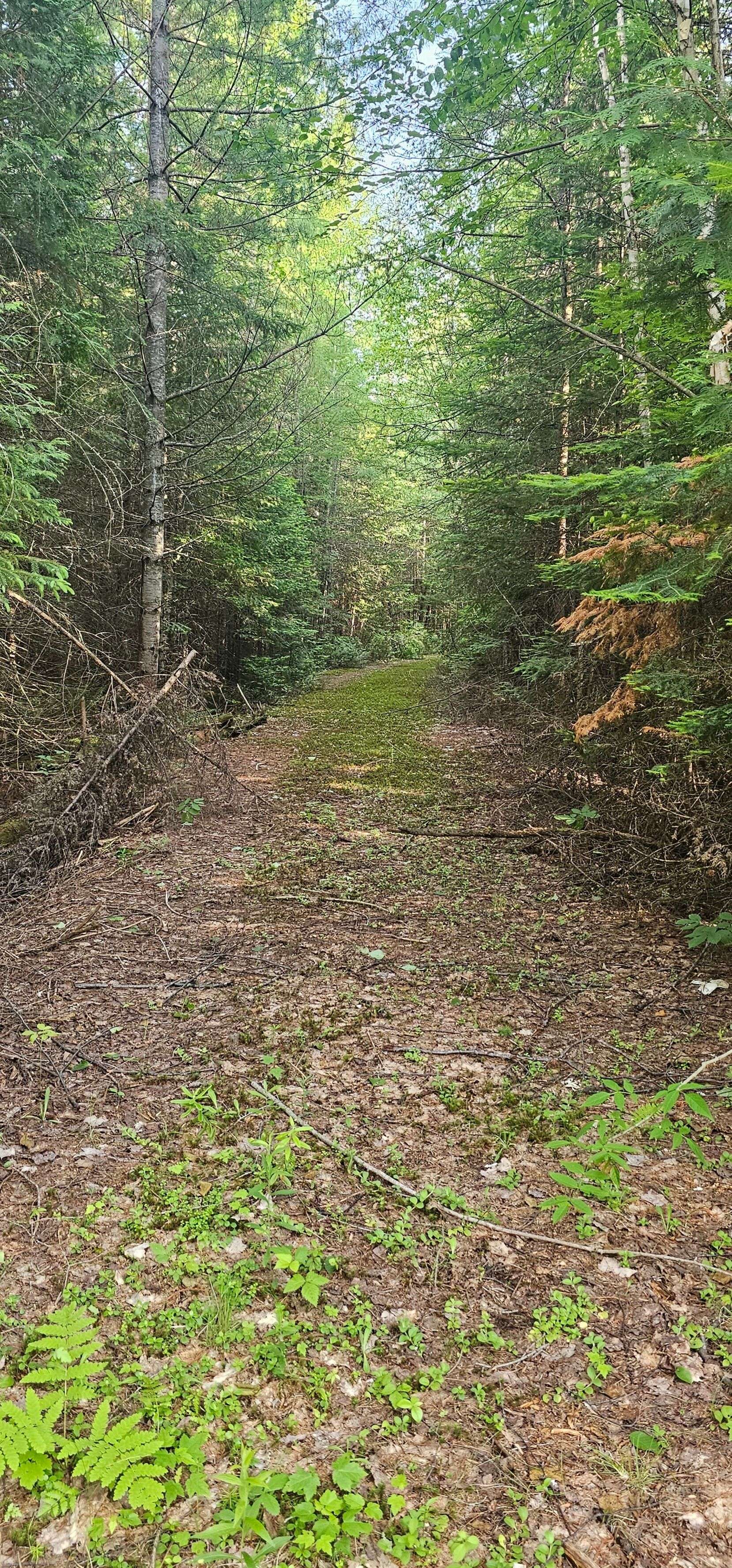Perry, ON P0A 1A0,95 Fish Lake RD