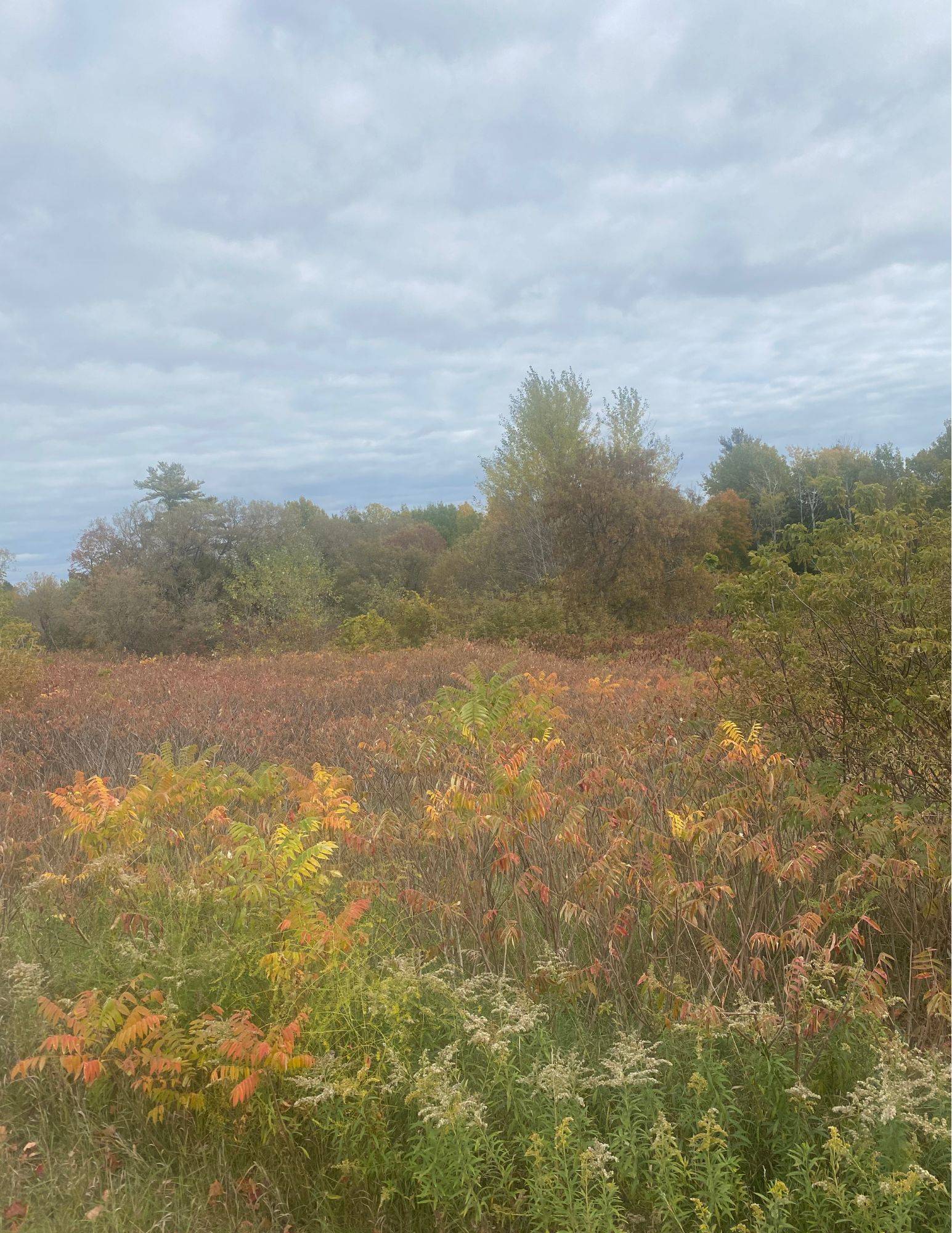 Cramahe, ON K0K 1H0,0 County Road 2 RD