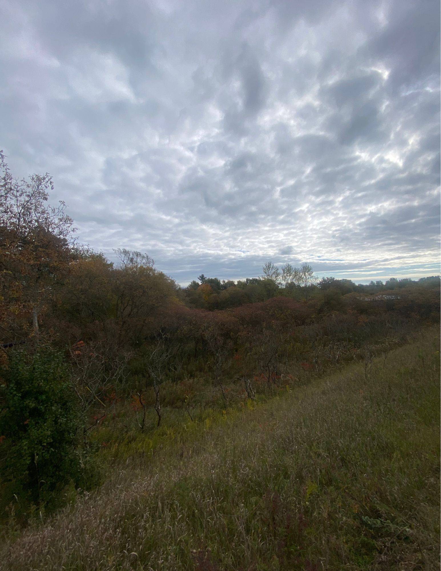 Cramahe, ON K0K 1H0,0 County Road 2 RD