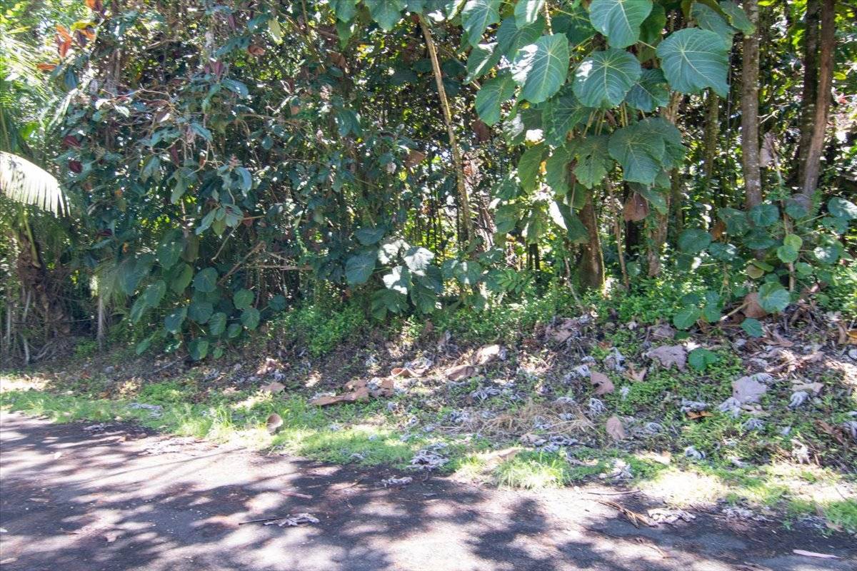 Pahoa, HI 96778,15-2761 OPIHI ST