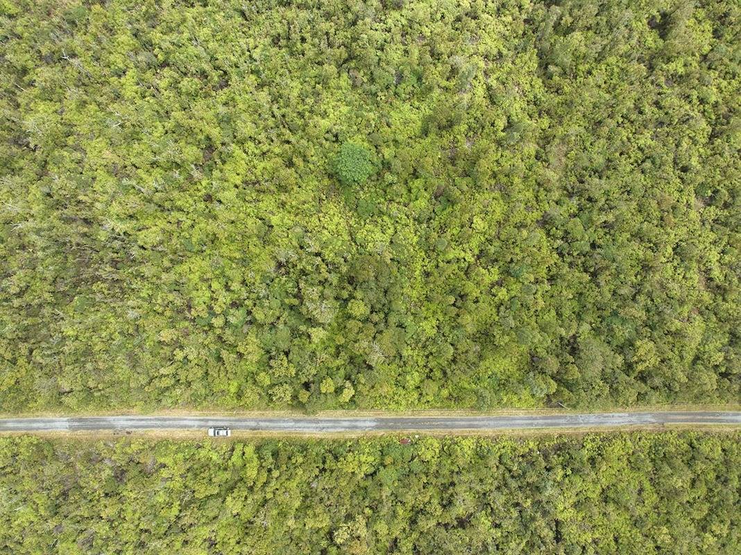 Volcano, HI 96785,ALA NAULANI RD