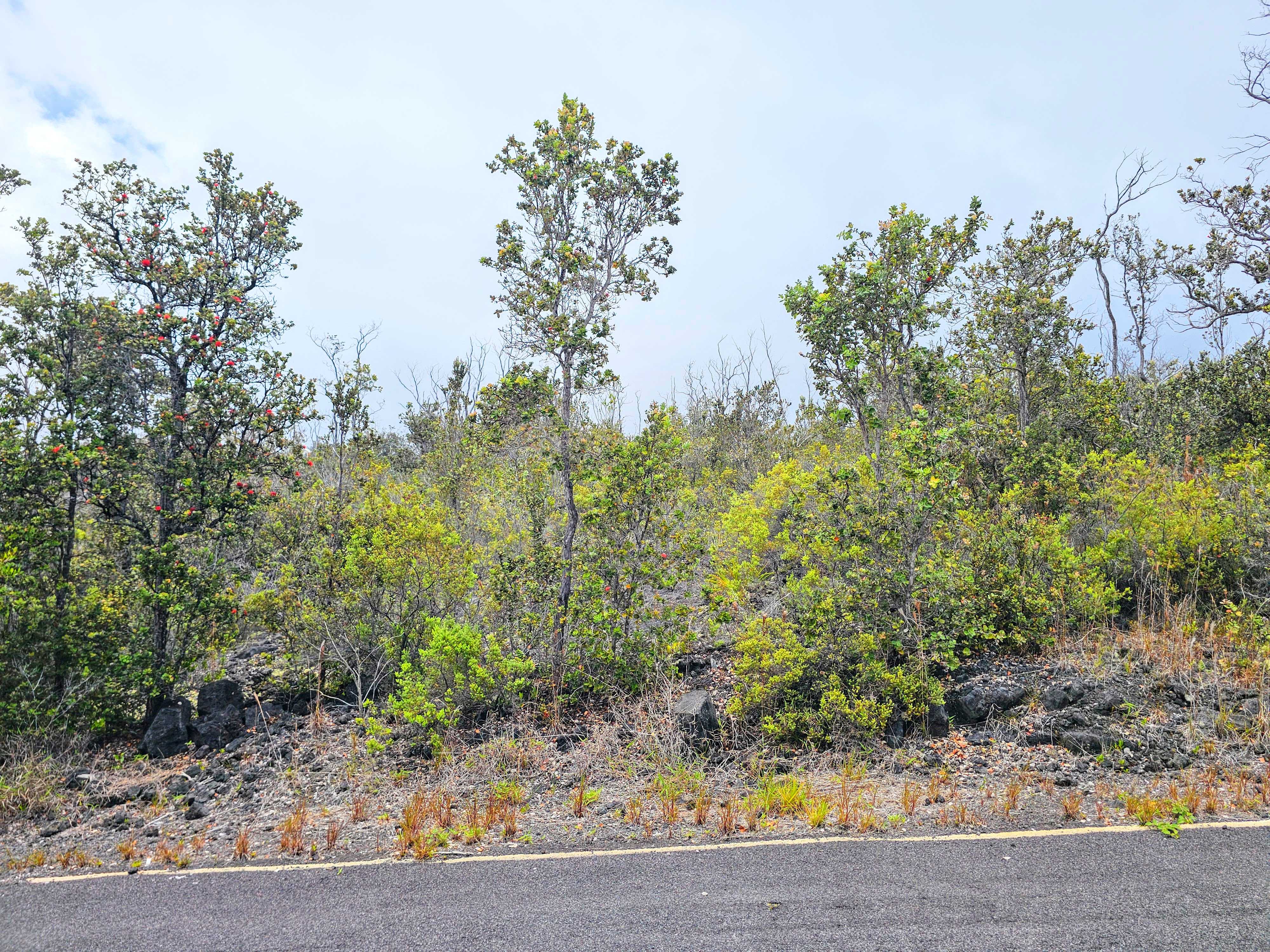 Ocean View, HI 96737