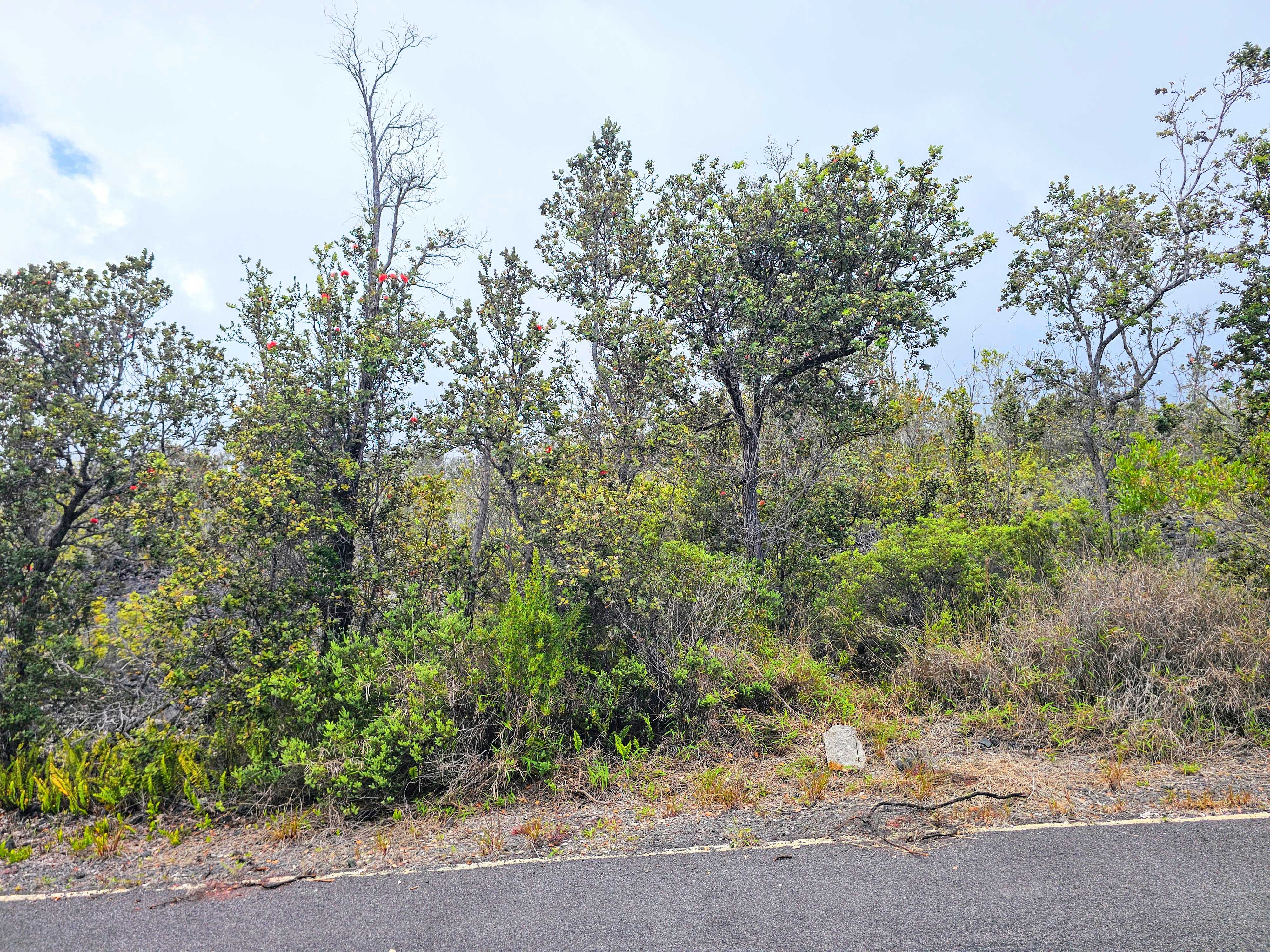 Ocean View, HI 96737