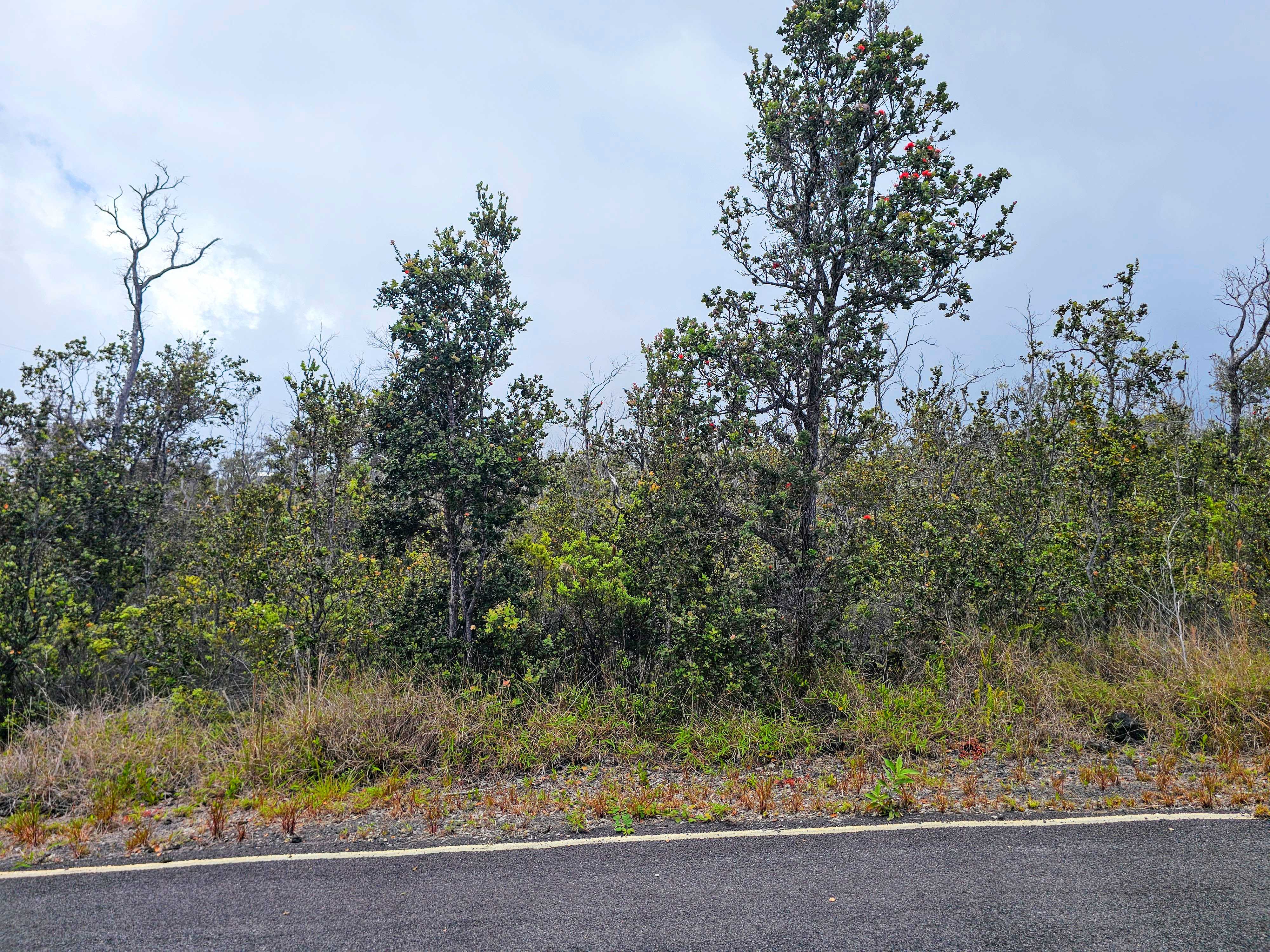 Ocean View, HI 96737