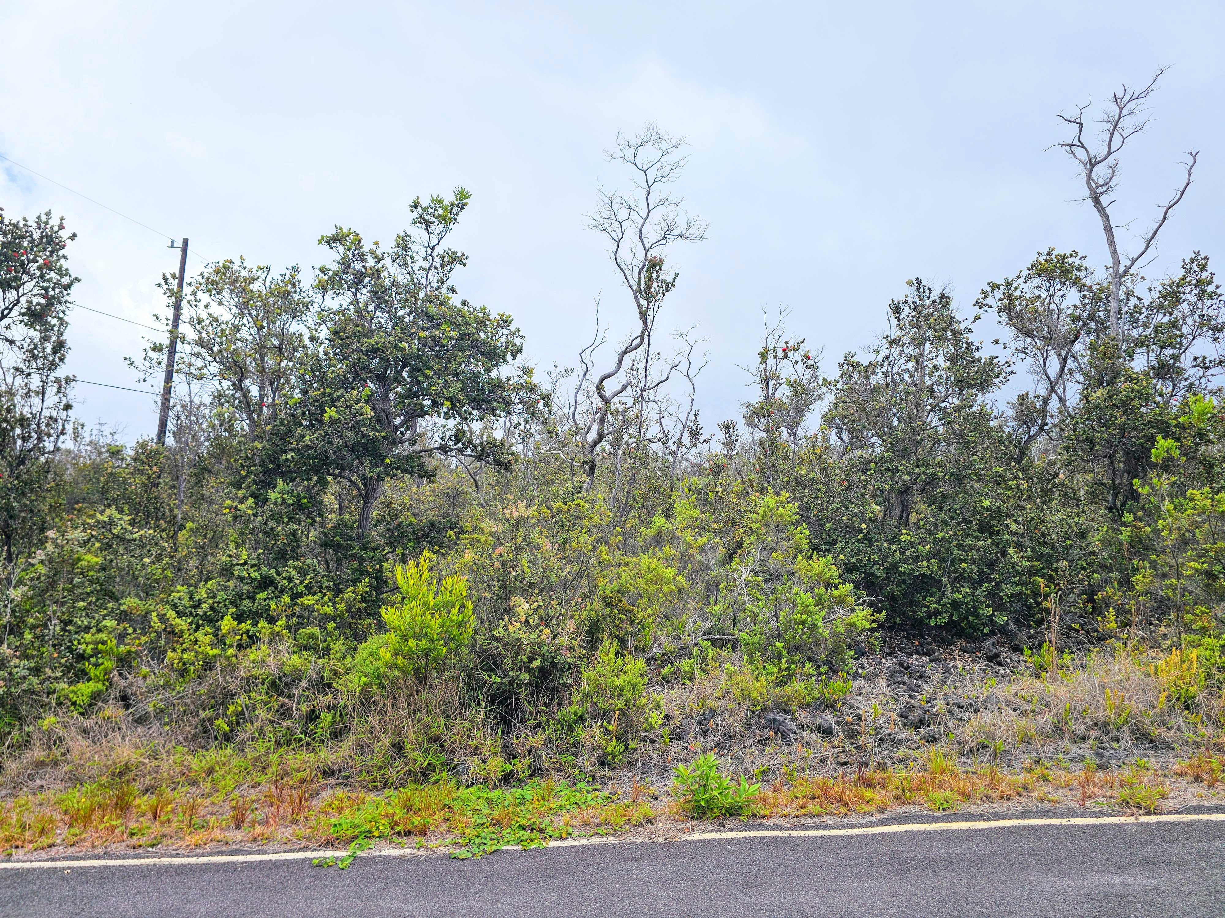 Ocean View, HI 96737