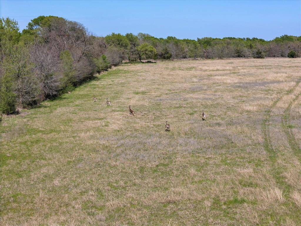Point, TX 75472,00 US Hwy 69