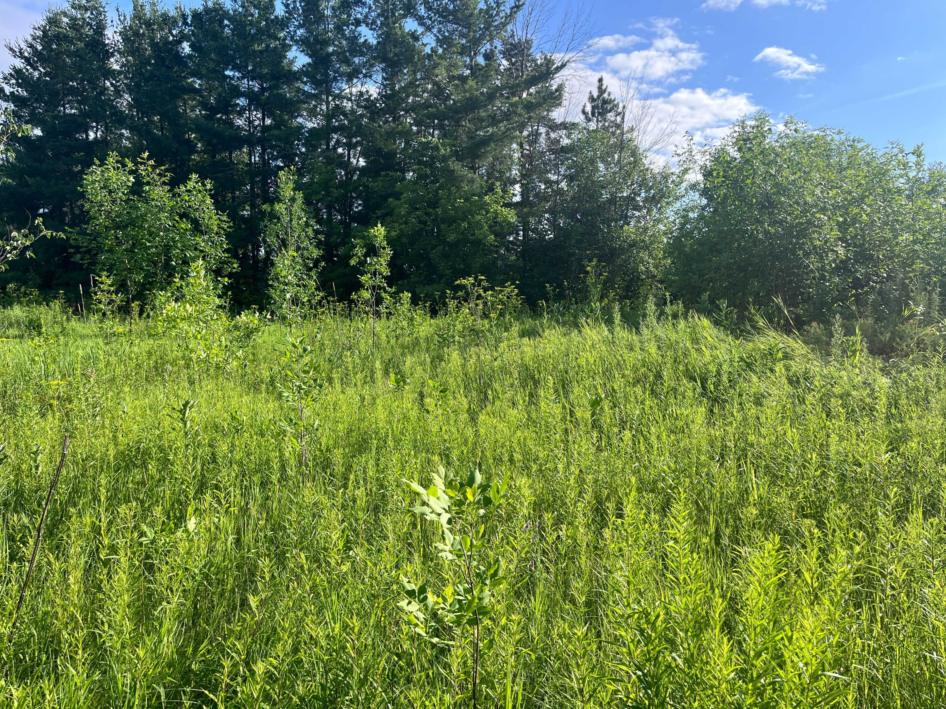 Mcnab/braeside, ON K7S 3G8,00 Russett DR
