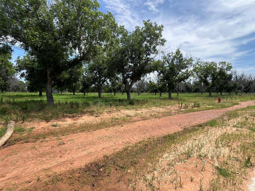 Granbury, TX 76049,1336 Cirrus Loop