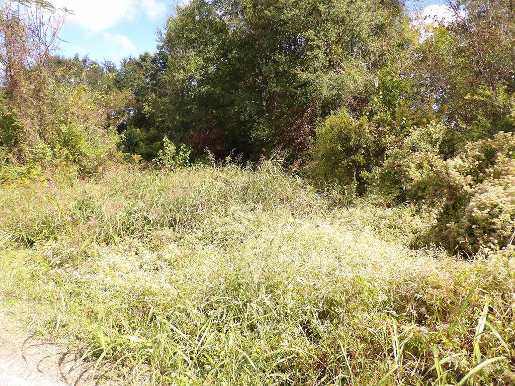Pelham, GA 31779,264 Hurst St
