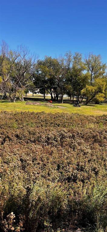 Comanche, TX 76442,0000 Mercers Preserve Road