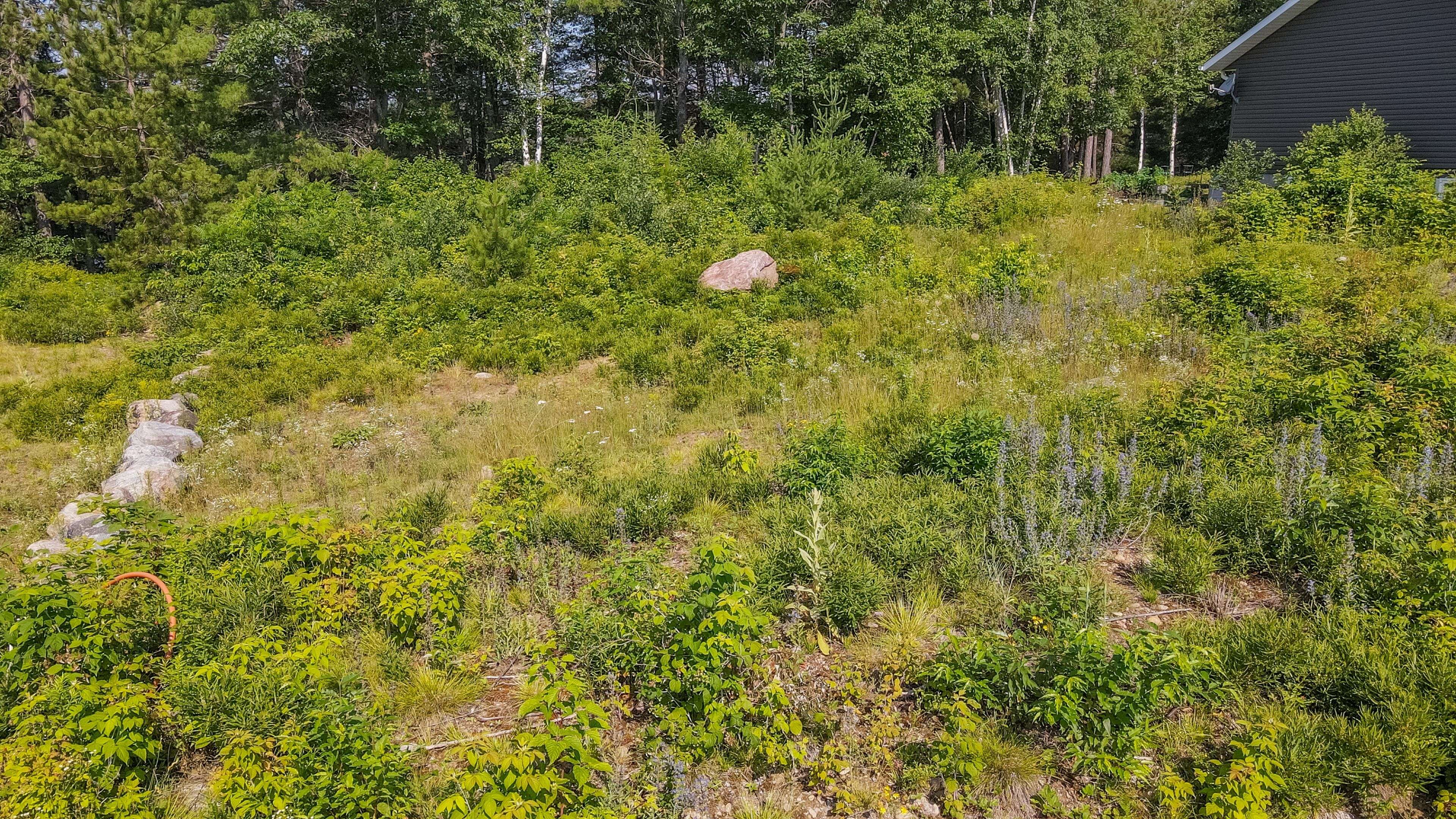 Madawaska Valley, ON K0J 1B0,0 Lakeview Pkwy N