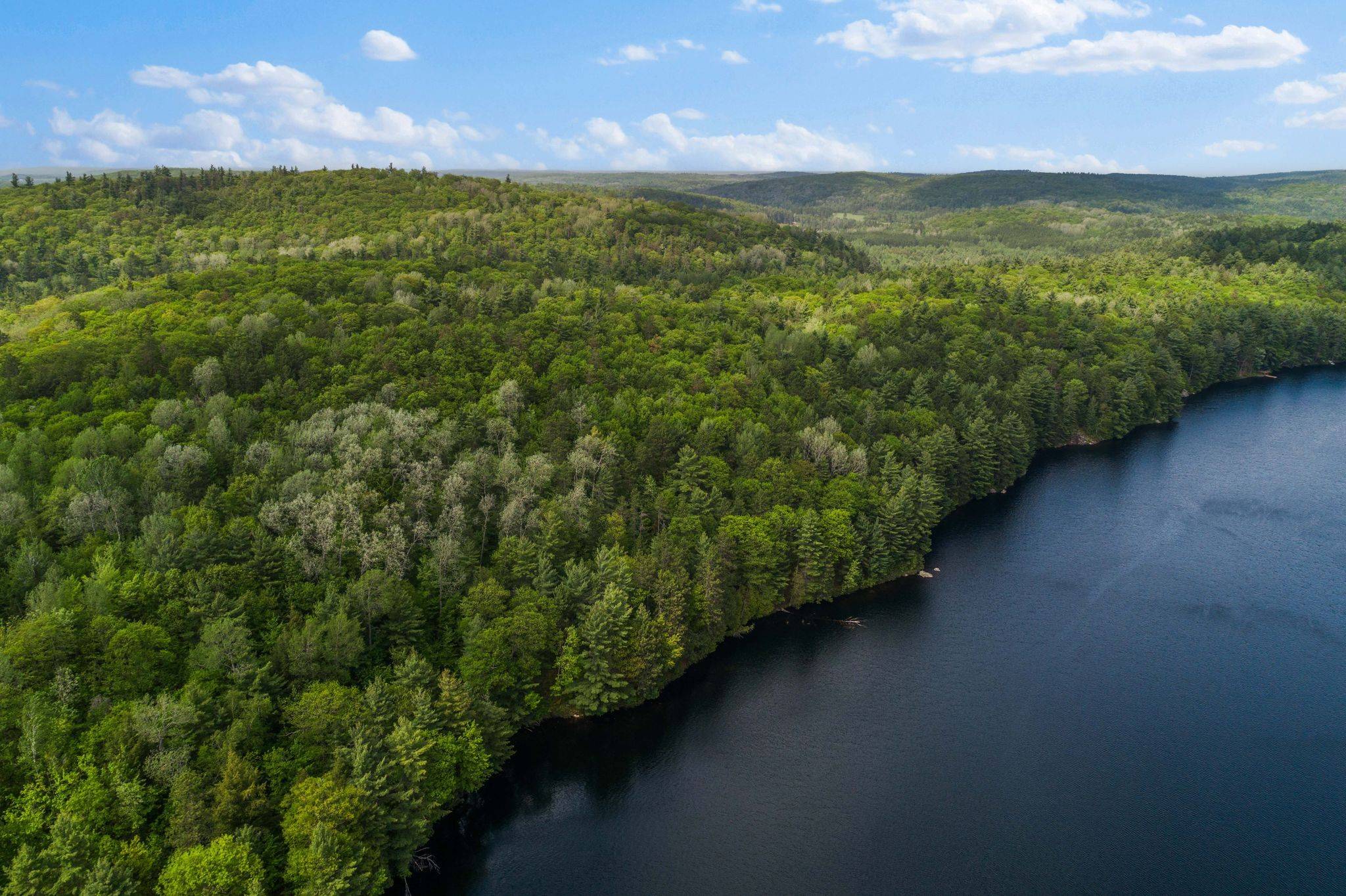 Madawaska Valley, ON K0J 1B0,18993 HIGHWAY 60 N/A