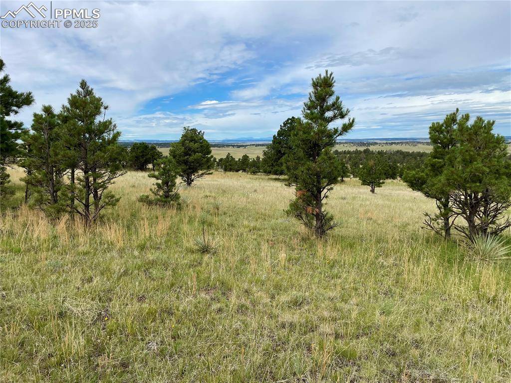 Ramah, CO 80832,31963 Cattle CIR