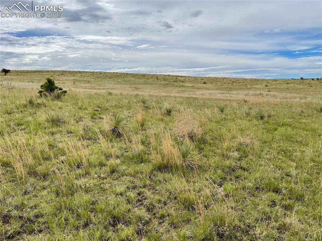 Ramah, CO 80832,31963 Cattle CIR