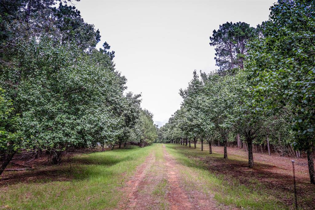 Marshall, TX 75672,2188 HARKINS Lane