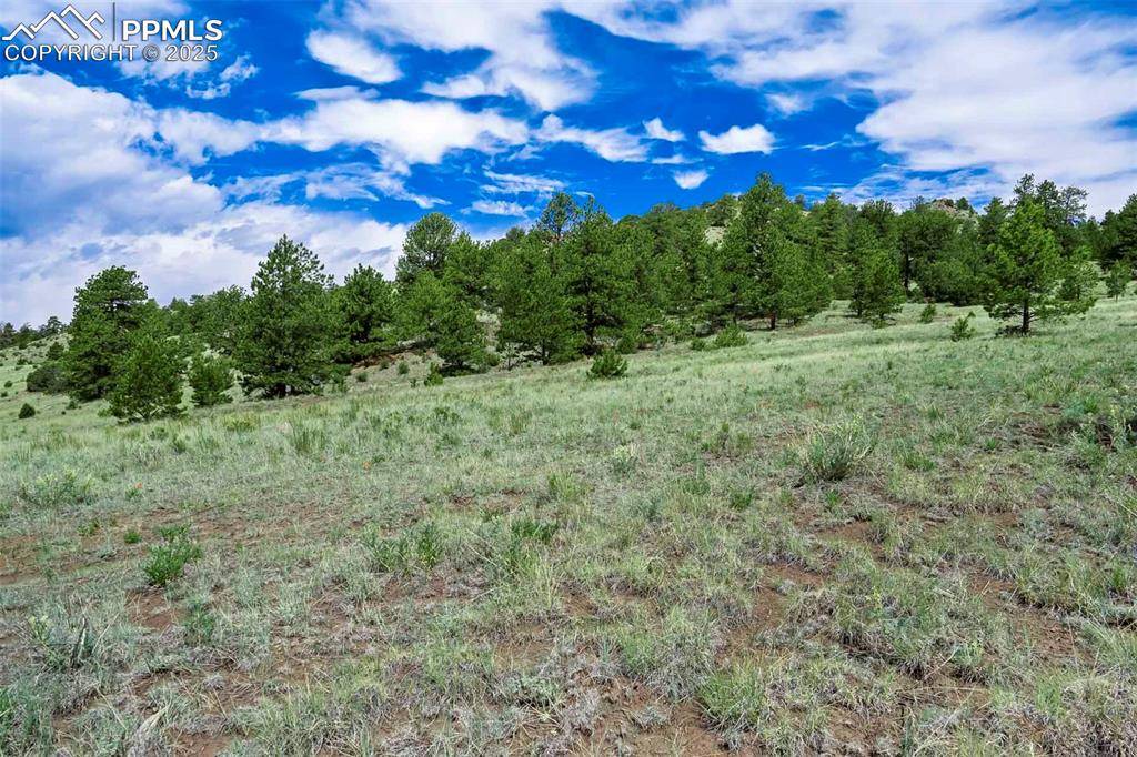 Guffey, CO 80820,Tract 8 County Road 102