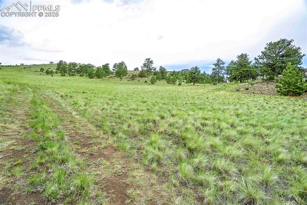 Guffey, CO 80820,Tract 10 County Road 102