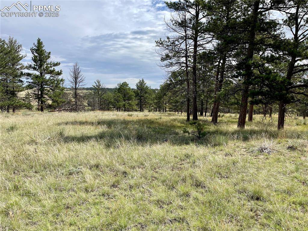 Ramah, CO 80832,32041 Cattle CIR