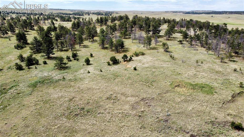 Ramah, CO 80832,32041 Cattle CIR
