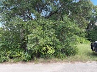 Brownwood, TX 76801,6917 Ireland Drive
