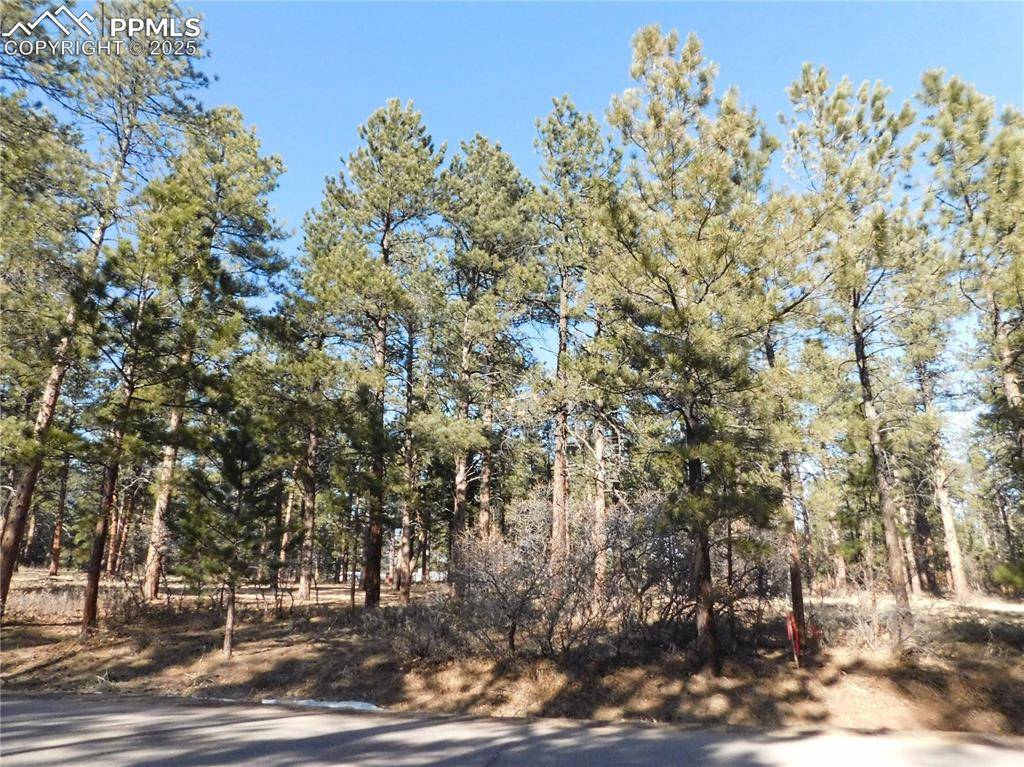 Larkspur, CO 80118,5845 S Pike DR