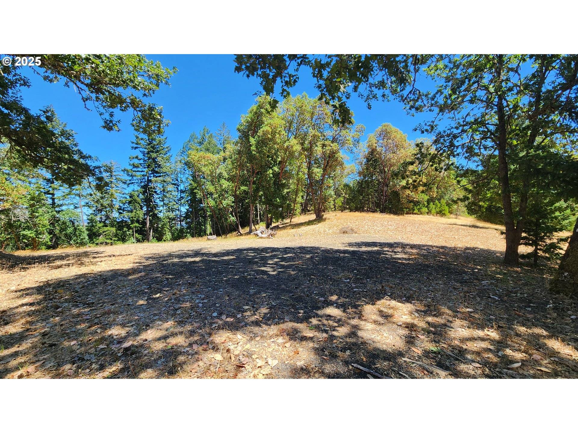 Roseburg, OR 97471,675 PANORAMA LN