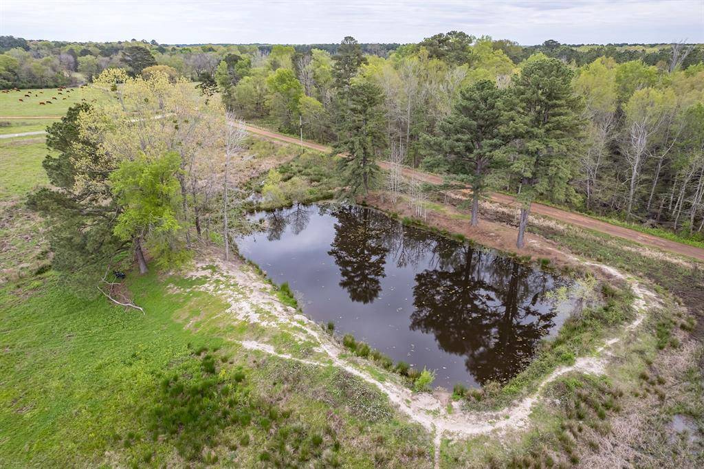 Gilmer, TX 75645,1600 Crocus Road