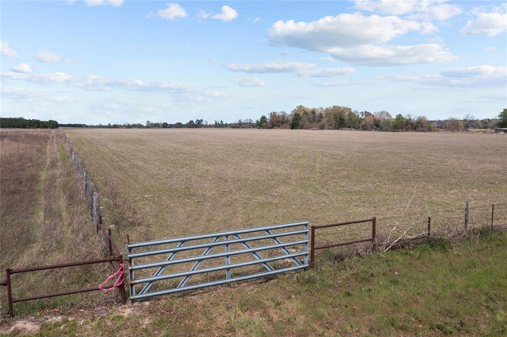 Grand Saline, TX 75140,16 Acres County Road 460 Road