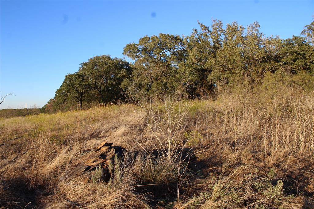 Nocona, TX 76255,000 Eureka School Road