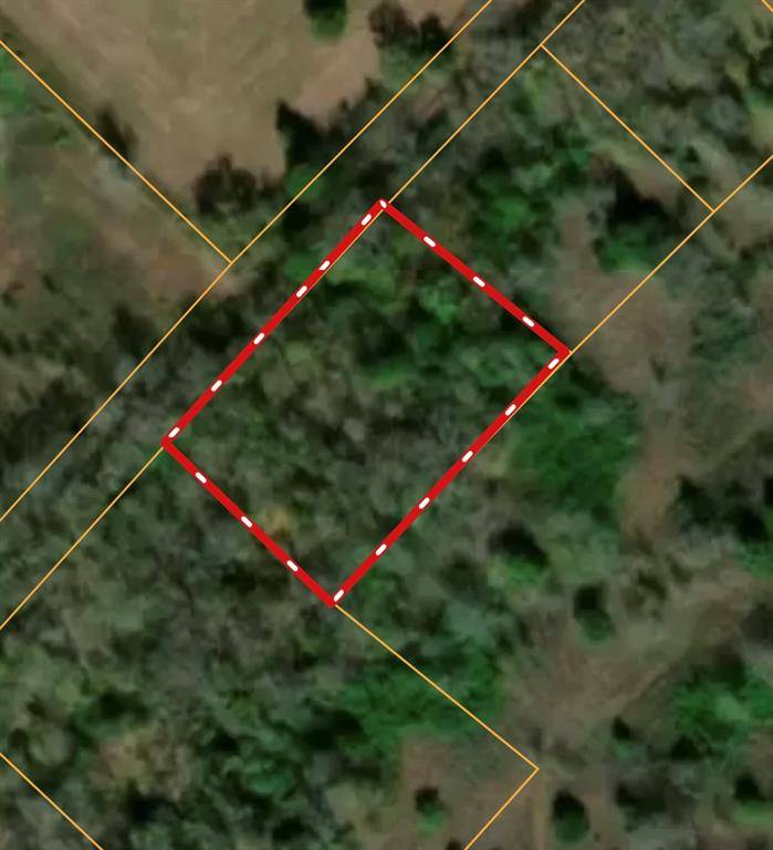 Mexia, TX 76667,0 W College Avenue
