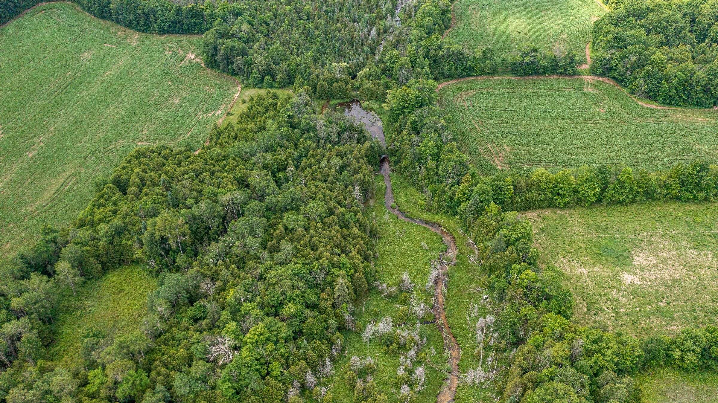Chatsworth, ON N0H 1R0,4558803 Concession 3B N/A