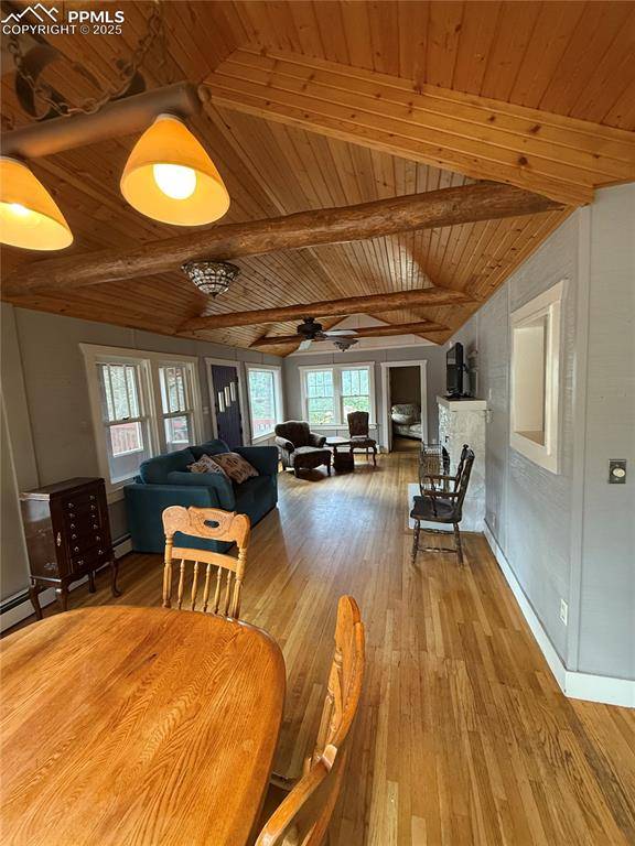 Cascade, CO 80809,9025 Picabo RD