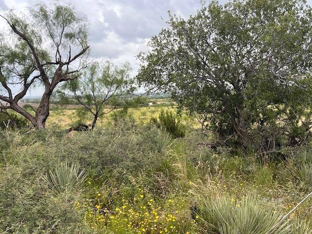Merkel, TX 79536,TBD2 County Road 405