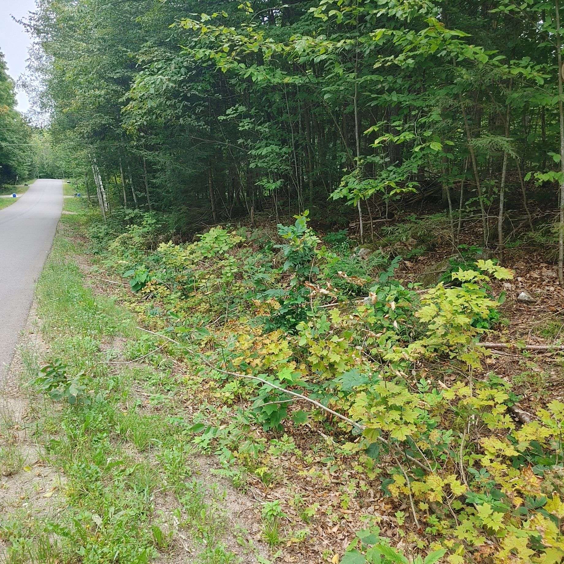 Mcnab/braeside, ON K0A 3L0,49 LORLEI DR