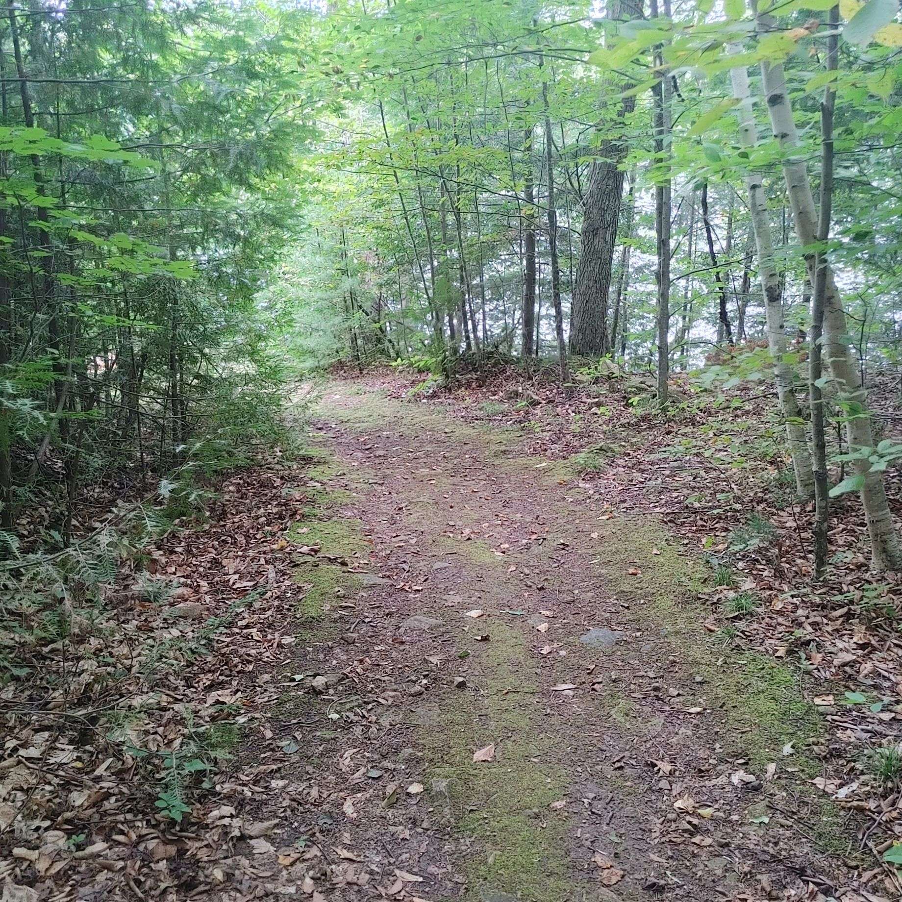 Mcnab/braeside, ON K0A 3L0,49 LORLEI DR