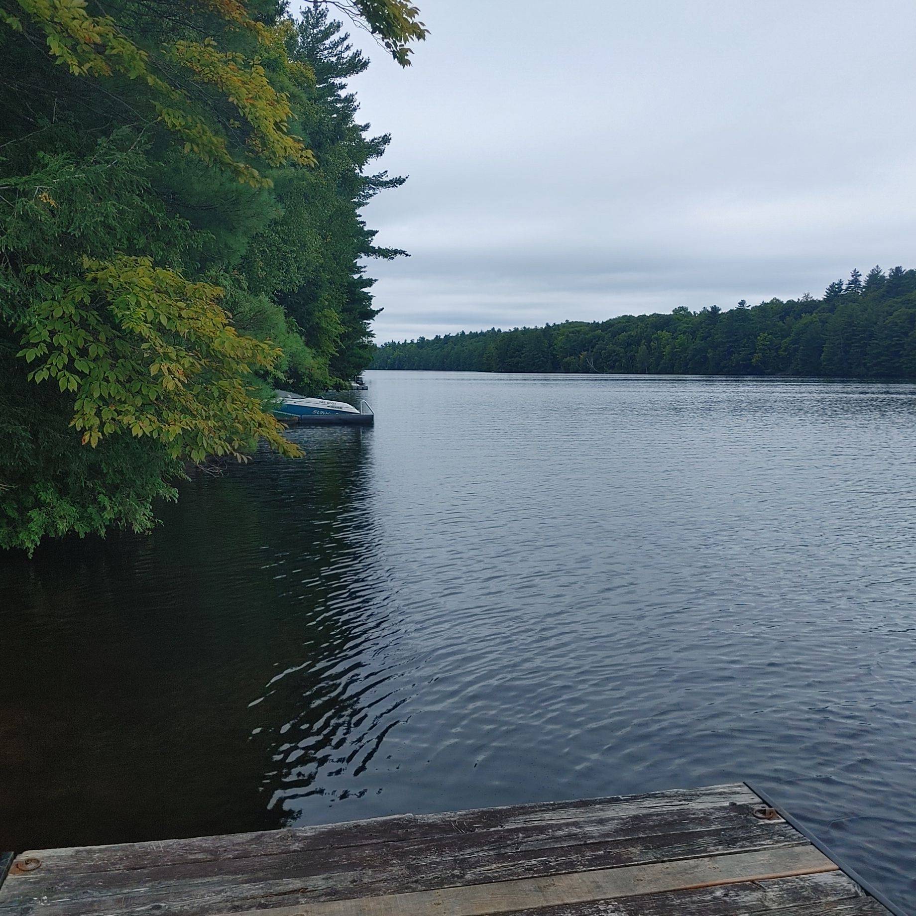 Mcnab/braeside, ON K0A 3L0,49 LORLEI DR