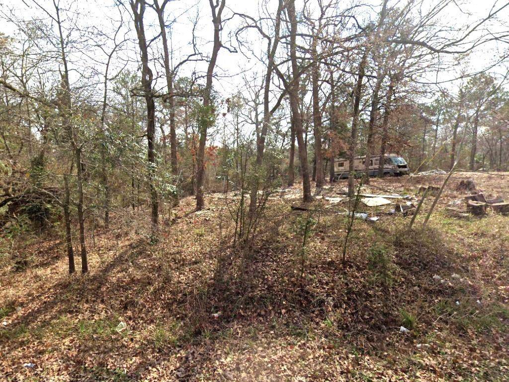 Chandler, TX 75758,21564 Red Oak Road