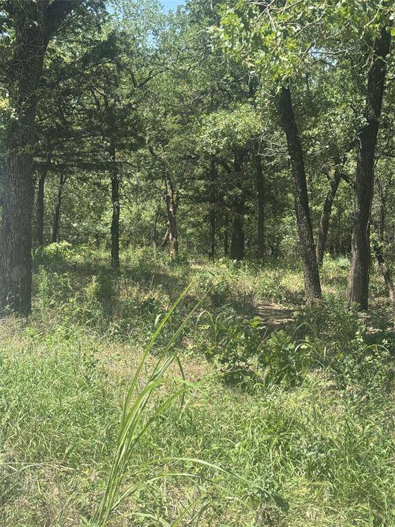 Bridgeport, TX 76426,500 PR 3204