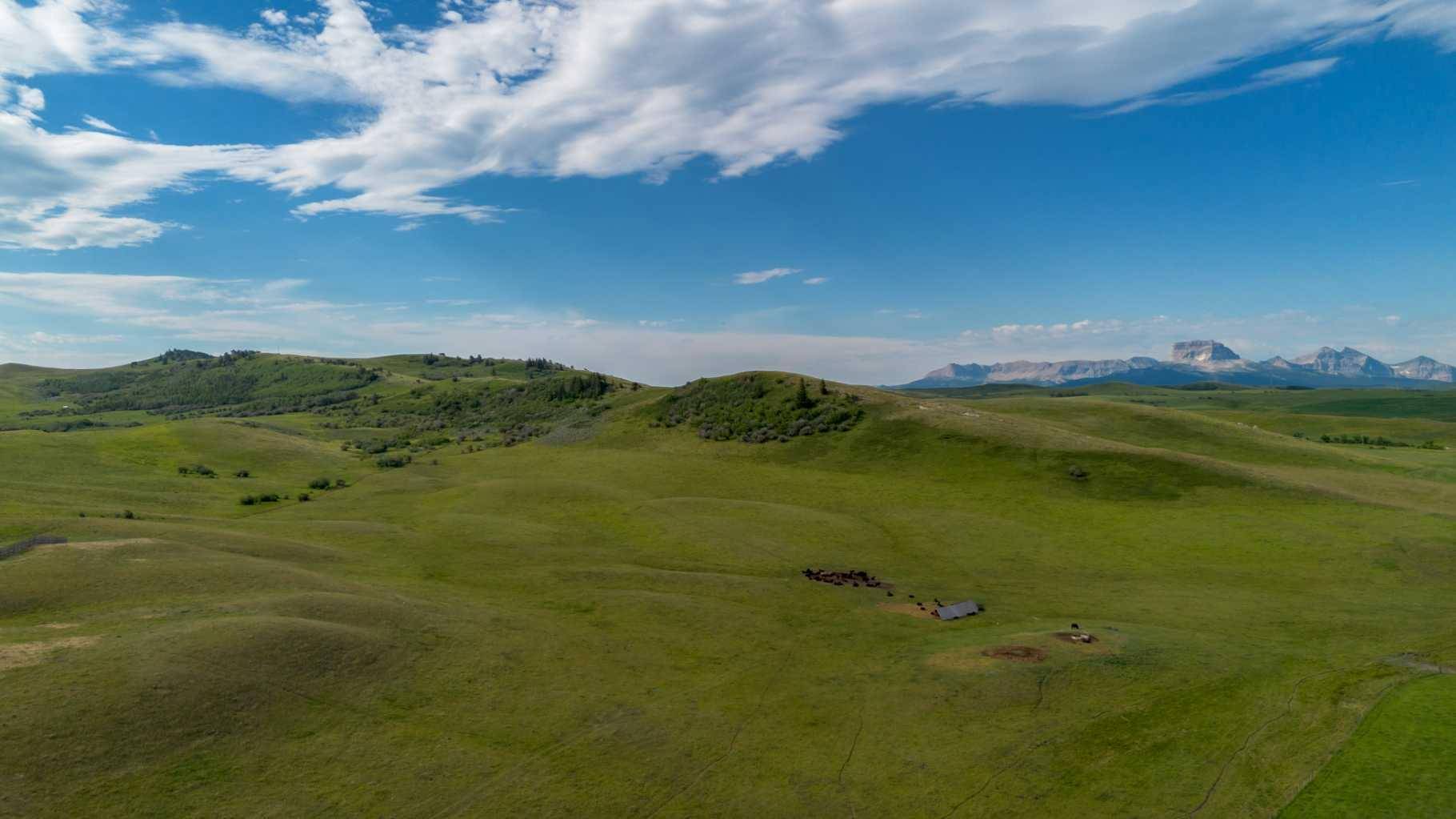 Rural Cardston County, AB T0K0C0,On Highway 501