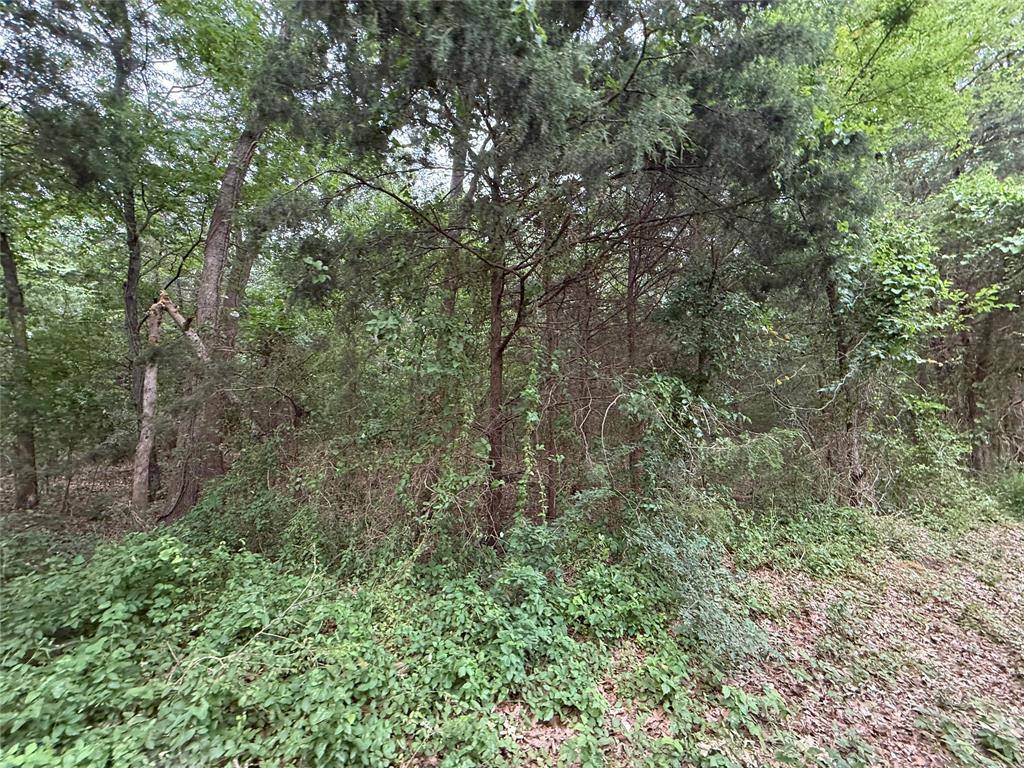 Como, TX 75431,15 Acres County Road 2324