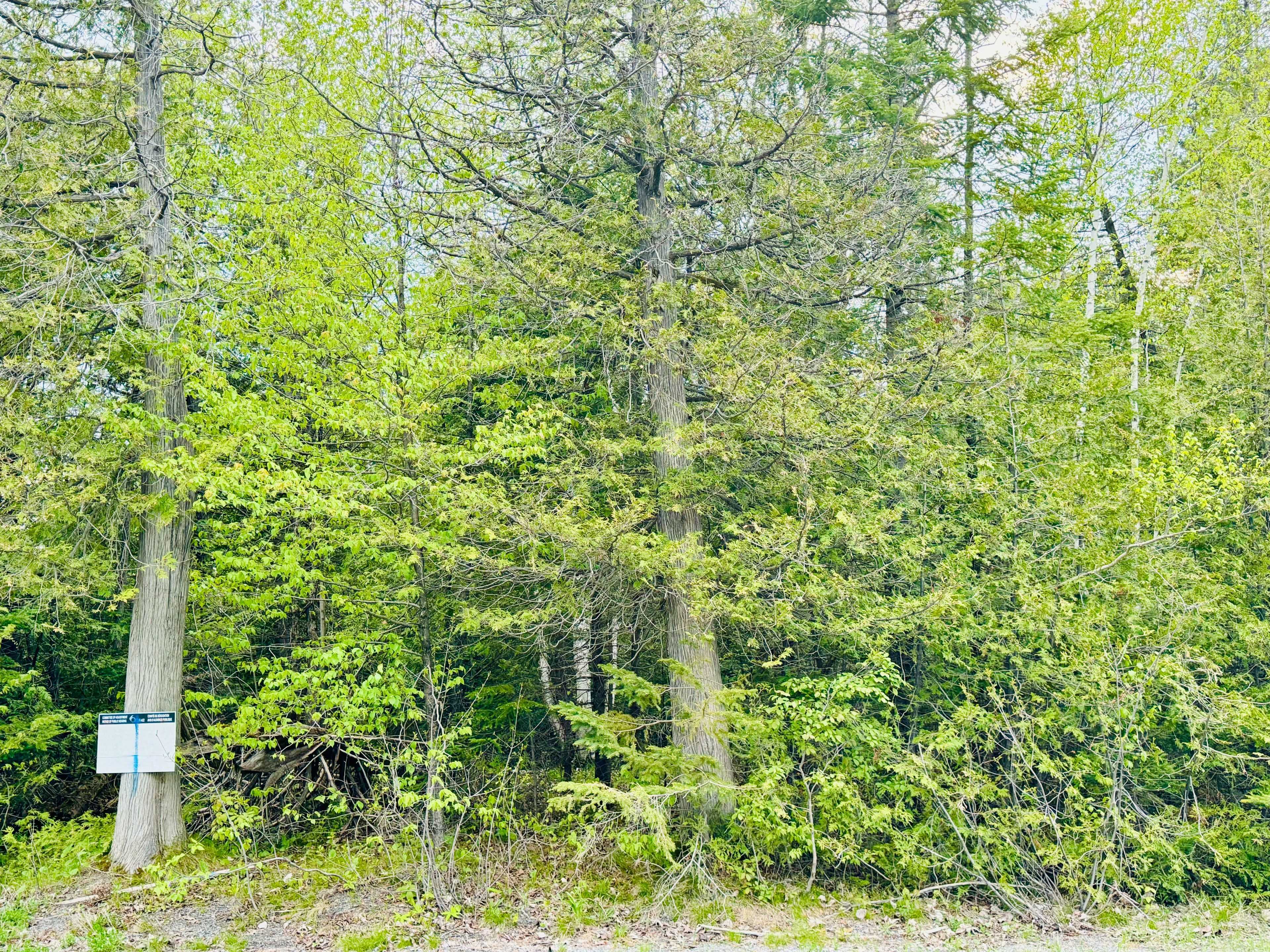 Manotick - Kars - Rideau Twp And Area, ON K0A 2T0,7110 Gallagher RD