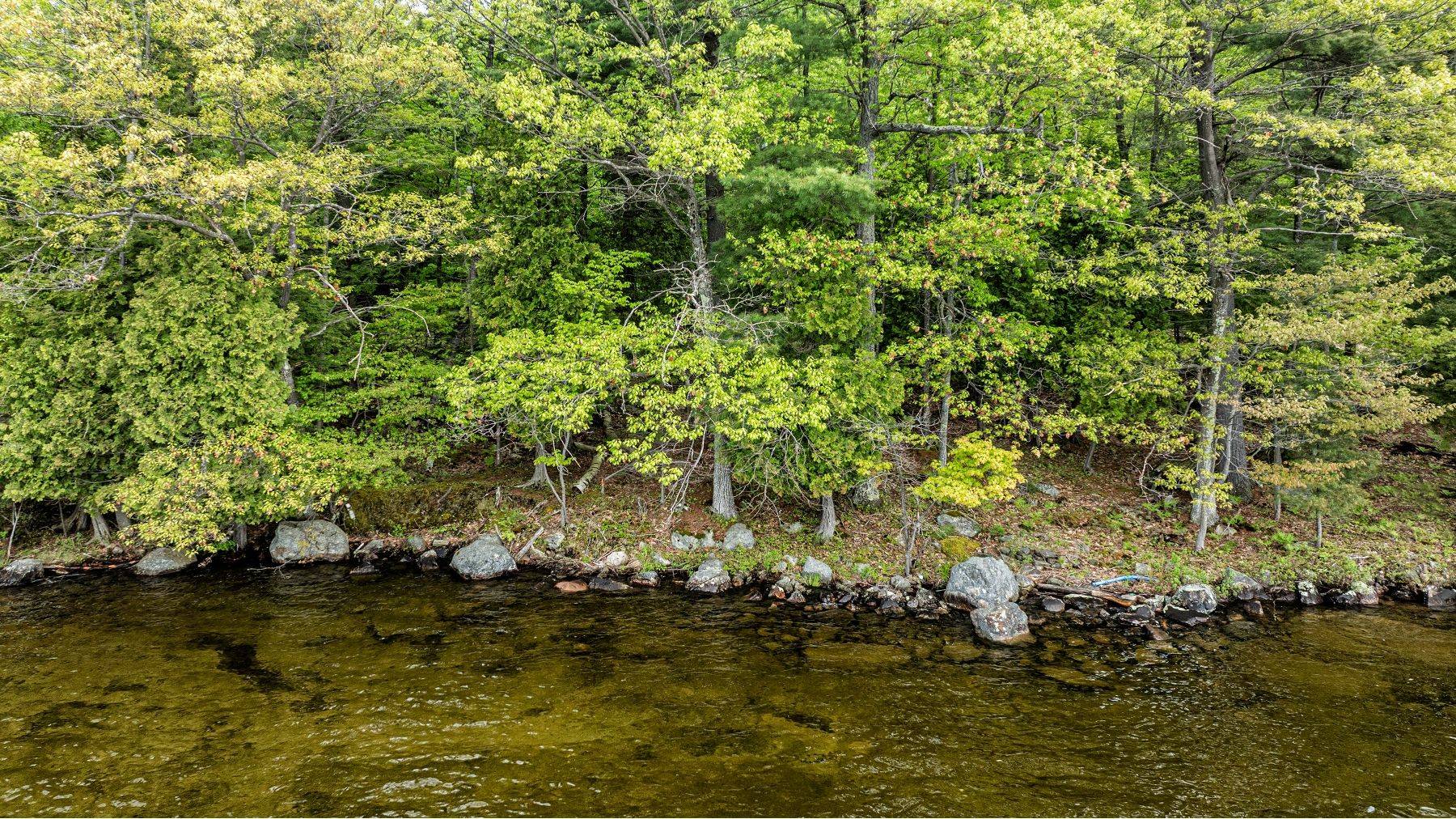 Lake Of Bays, ON P0A 1H0,504 Bigwin Island N/A