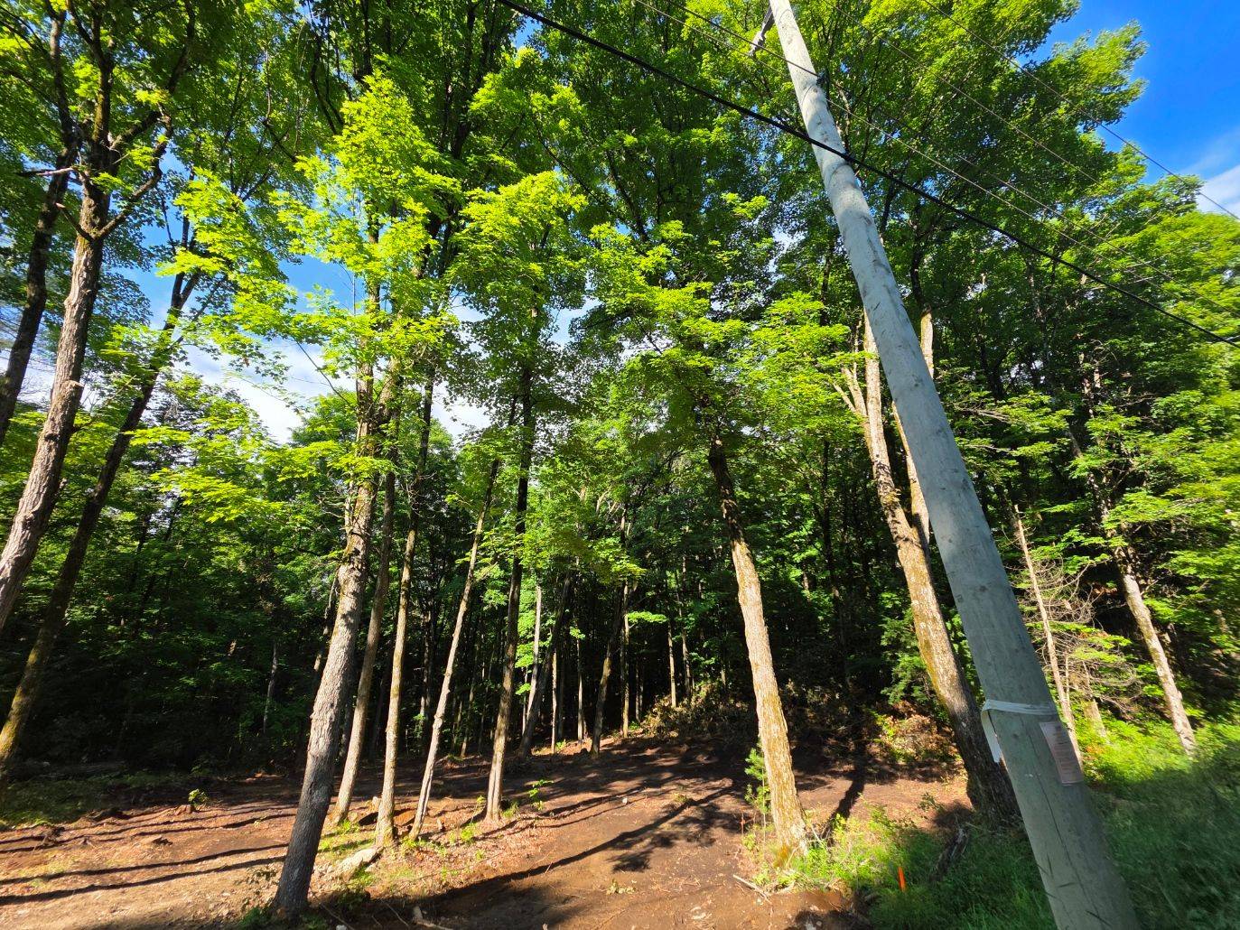Lanark Highlands, ON K0G 1K0,00 2nd Conc Dalhousie Concession