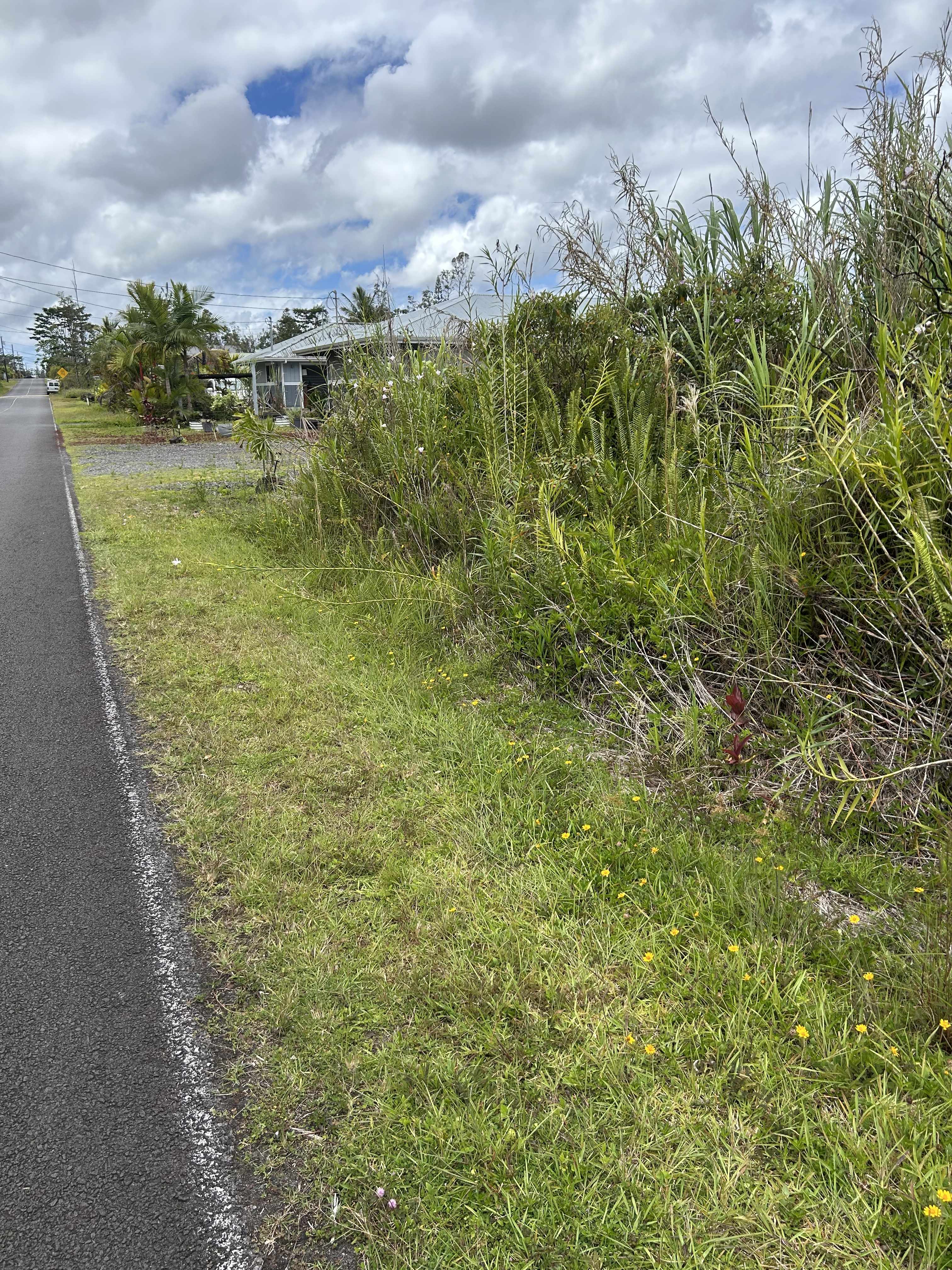 Pahoa, HI 96778,SILVERSWORD DR