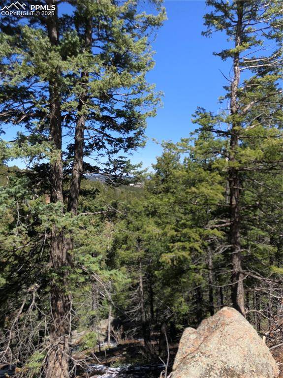 Woodland Park, CO 80863,195 Osoeola RD