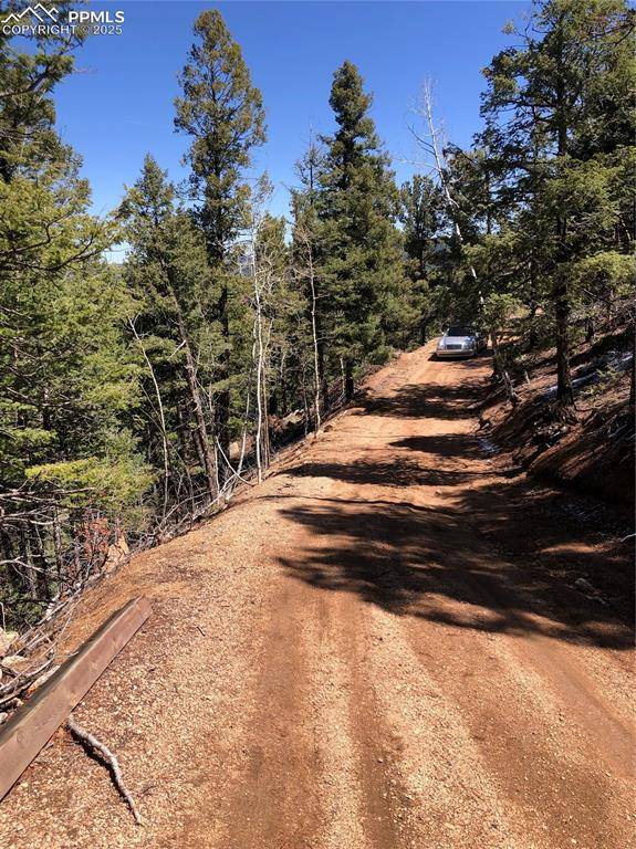 Woodland Park, CO 80863,195 Osoeola RD