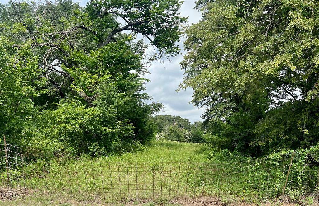 Collinsville, TX 76233,TBD Cr-265