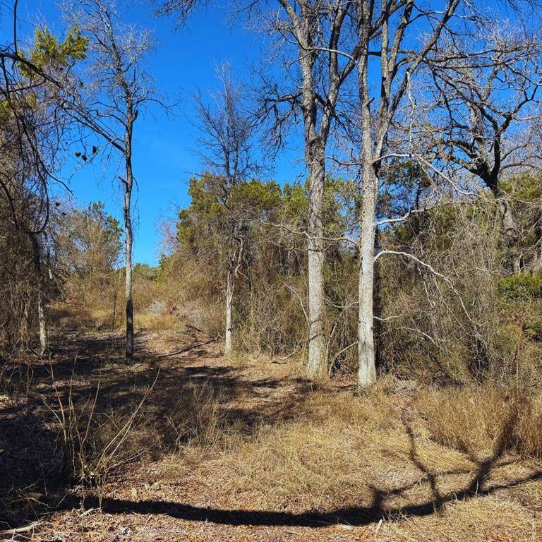 Stephenville, TX 76401,TBD Mesa Vista Drive