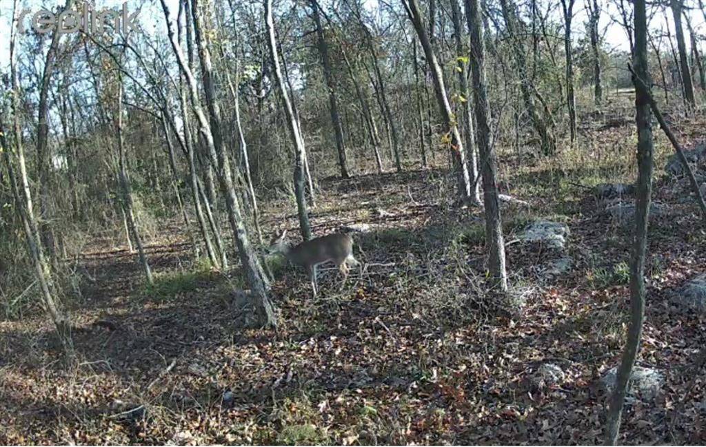 Sulphur Springs, TX 75482,TBD Nicklaus Drive